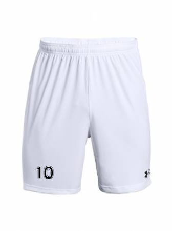 UA M's Golazo 2.0 Shorts
