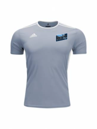 Adidas Men's and Youth Entrada 18 Jersey - Silver