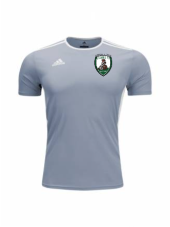 Adidas Men's and Youth Entrada 18 Jersey