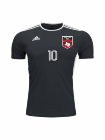 Adidas Adult and Youth Entrada 18 Jersey 