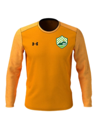 UA Men's Wall GK Jersey