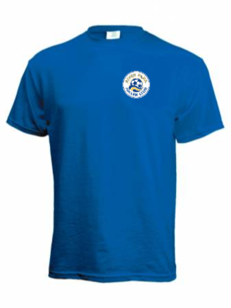 SS 100% Cotton Tee