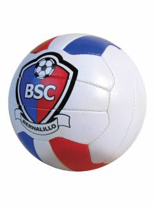 Competition Custom Logo Ball    