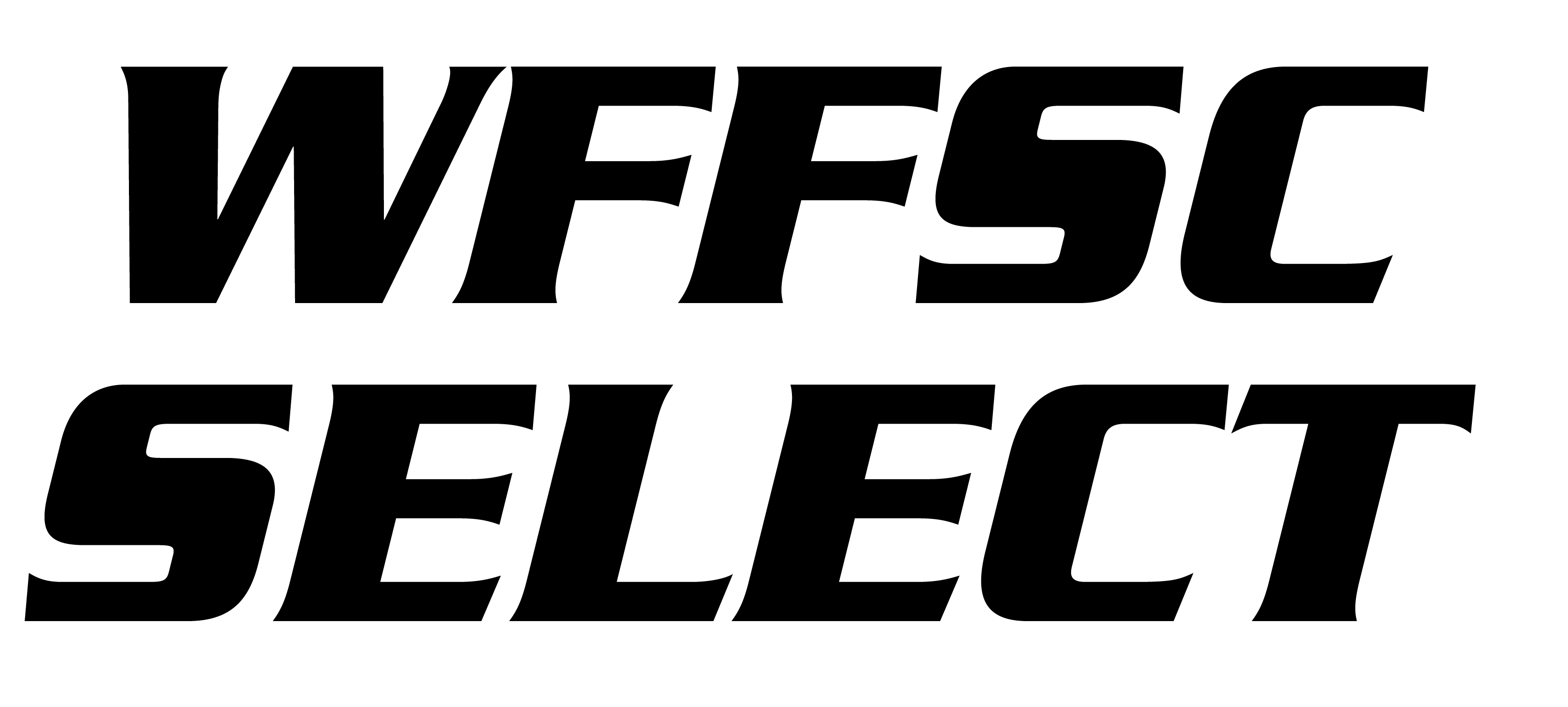 wffsc header logo2